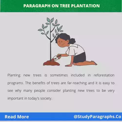 Importance Of Tree Plantation Paragraph Writing Example