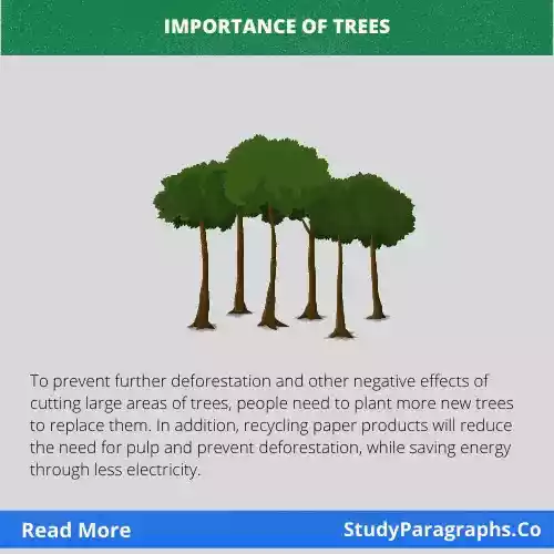 Importance Of Trees Paragraph Writing Example For Students