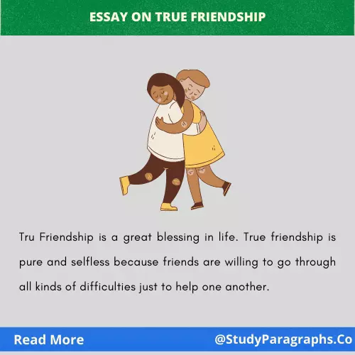 About True Friendship essay
