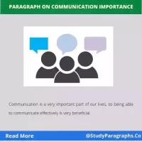 About Importance Of Communication Paragraph Writing Example
