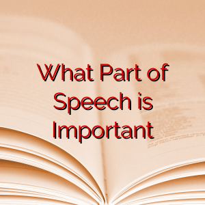 What Part of Speech is Important