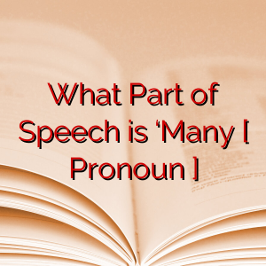 What Part of Speech is ‘Many [ Pronoun ]