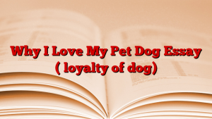 Why I Love My Pet Dog Essay ( loyalty of dog)