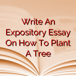 Write An Expository Essay On How To Plant A Tree
