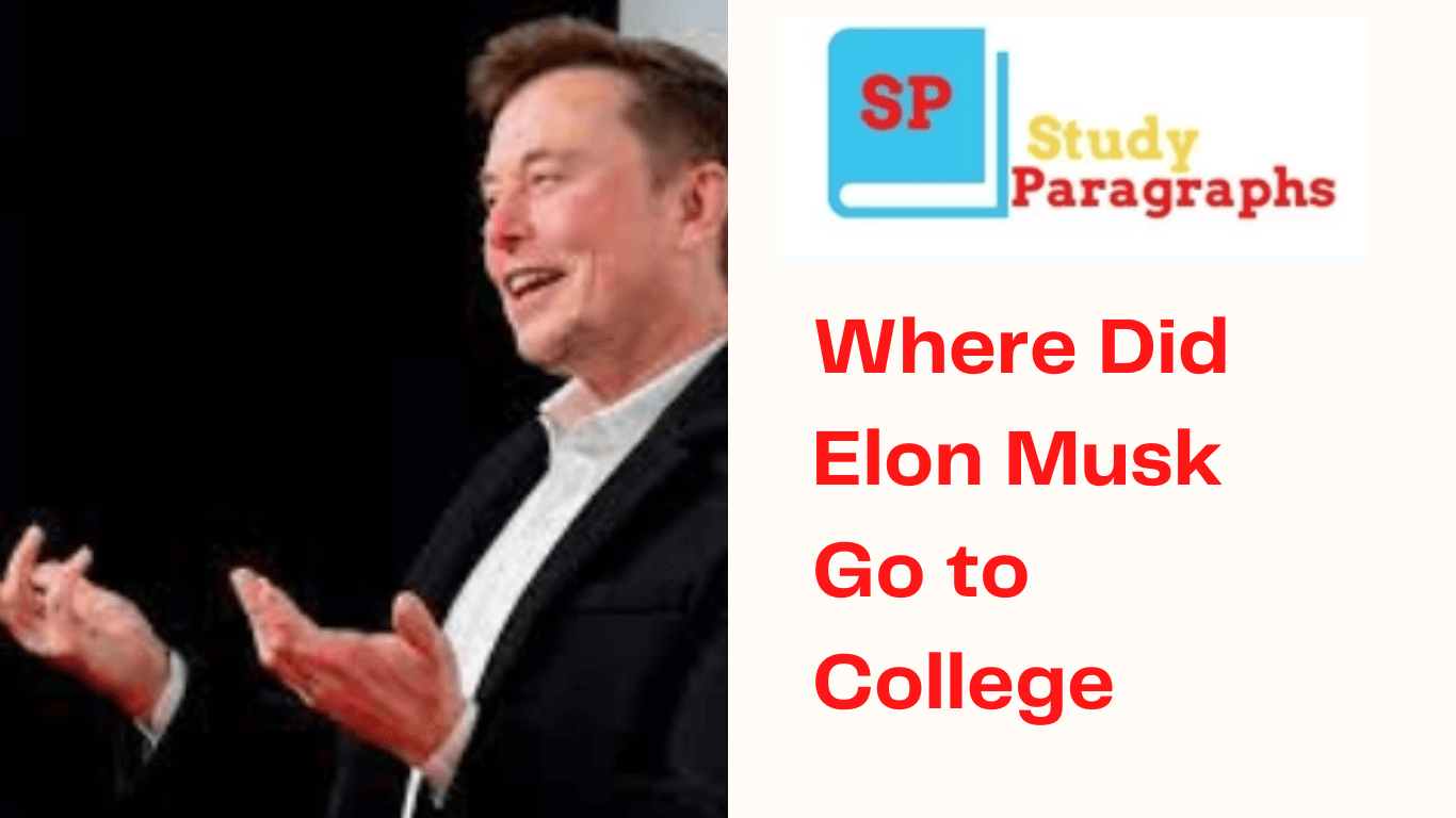 Elon Musk study path