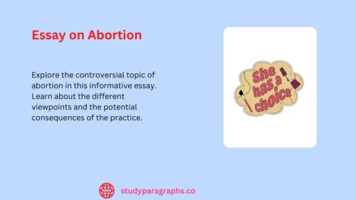 augmentative paragraphs about abortion