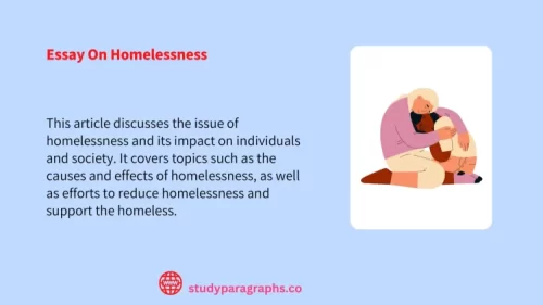 Essay On Homelessness | Exploring the Causes and Effects