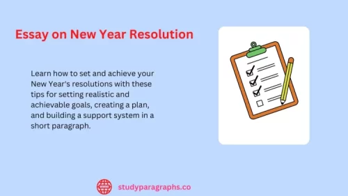 New Year Resolution Paragraph Writing  Examples