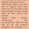 Paragraphs On Flood | Causes & Impacts Of Flood Essay
